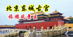 黄色网站操逼视屏同性中国北京-东城古宫旅游风景区